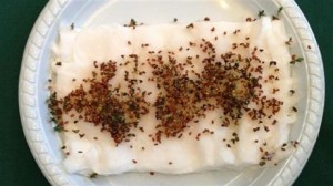 tuinkers met wifi router